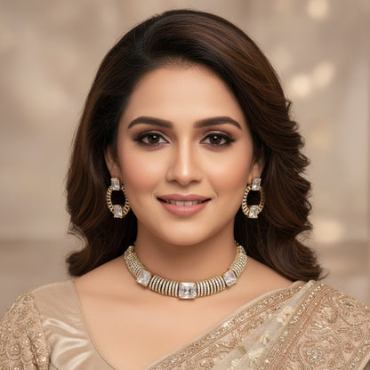Elegant Zirconia Choker Necklace & Earring Set